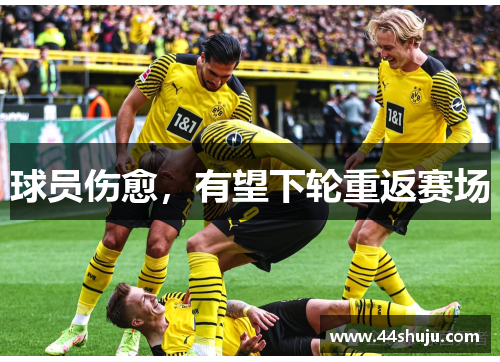 球员伤愈，有望下轮重返赛场